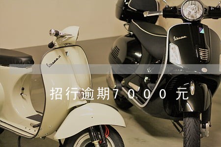 招行逾期7000元