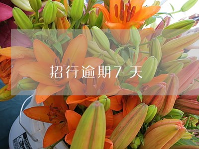 招行逾期7天 招行逾期7天