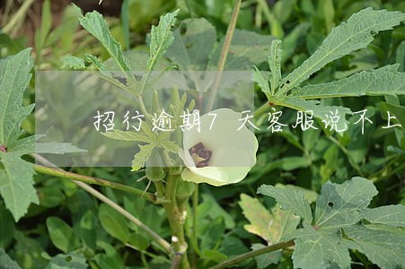 招行逾期7天客服说不上征信 招行逾期7天客服说不上征信