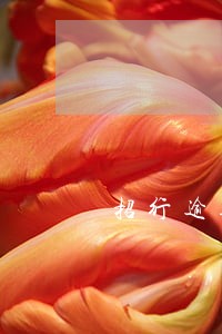 招行逾期80000滞纳金 招行逾期80000滞纳金