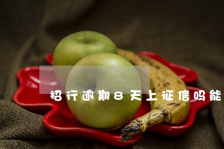招行逾期8天上征信吗能解释吗 招行逾期8天上征信吗能解释吗
