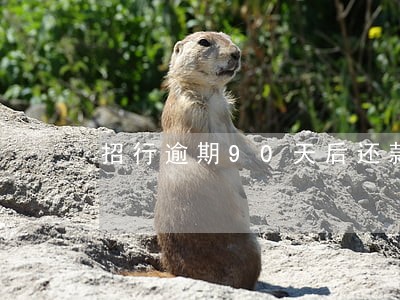 招行逾期90天后还款先扣本金吗 招行逾期90天后还款先扣本金吗
