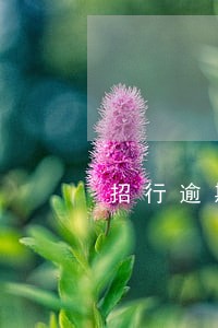 招行逾期90天能分期吗 招行逾期90天能分期吗