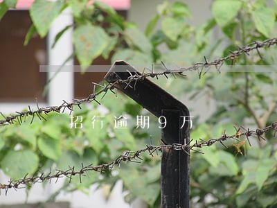 招行逾期9万 招行逾期9万