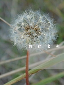 招行逾期9个月没有电话了 招行逾期9个月没有电话了