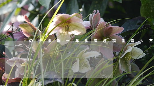 招行逾期一年多没还罚金要3万 招行逾期一年多没还罚金要3万