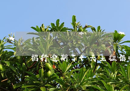 招行逾期了4天上征信吗 招行逾期了4天上征信吗