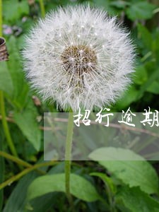 招行逾期了会影响建设银行卡吗 招行逾期了会影响建设银行卡吗