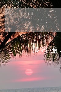 招行逾期了还款8天 招行逾期了还款8天