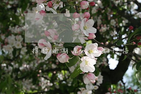 招行逾期几天会上传信用报告 招行逾期几天会上传信用报告