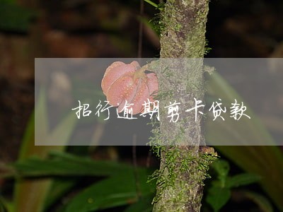 招行逾期剪卡贷款 招行逾期剪卡贷款