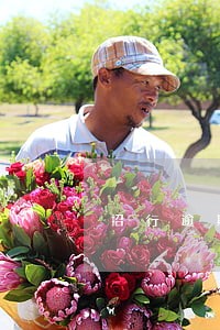 招行逾期后年利远超24 招行逾期后年利远超24