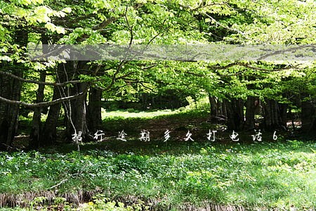 招行逾期多久打电话6 招行逾期多久打电话6