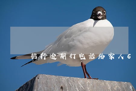 招行逾期打电话给家人6 招行逾期打电话给家人6