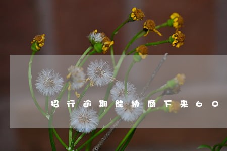 招行逾期能协商下来60期吗