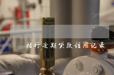 招行逾期贷款信用记录 招行逾期贷款信用记录