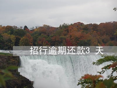 招行逾期还款3天 招行逾期还款3天