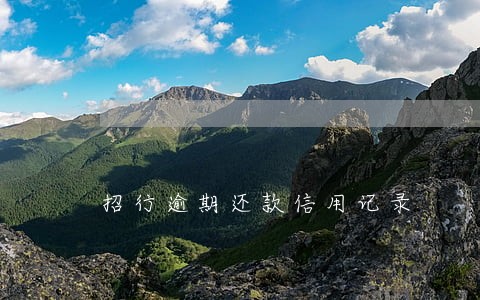 招行逾期还款信用记录 招行逾期还款信用记录