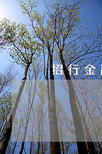 招行金融2500逾期几个月了 招行金融2500逾期几个月了