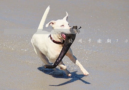 招行银行信用卡逾期7000