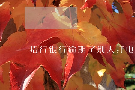 招行银行逾期了别人打电话了 招行银行逾期了别人打电话了
