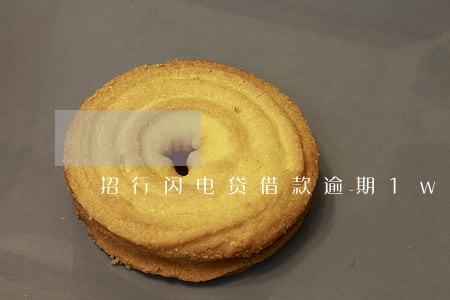招行闪电贷借款逾期1w 招行闪电贷借款逾期1w