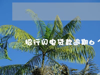 招行闪电贷款逾期6个月 招行闪电贷款逾期6个月