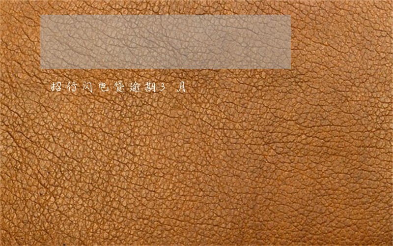 招行闪电贷逾期3月 招行闪电贷逾期3月
