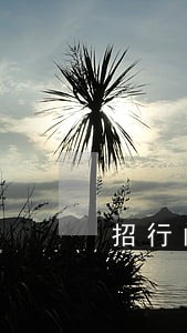 招行闪电贷逾期4个月 招行闪电贷逾期4个月