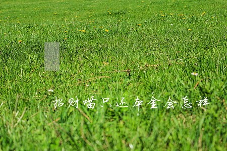 招财喵只还本金会怎样 招财喵只还本金会怎样