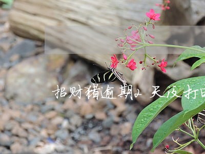 招财猪逾期2天没打电话