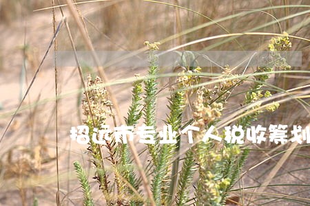 招远市专业个人税收筹划律师 招远市专业个人税收筹划律师
