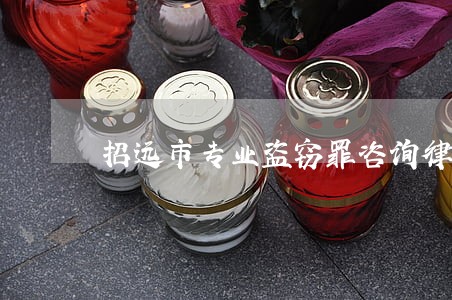 招远市专业盗窃罪咨询律师 招远市专业盗窃罪咨询律师