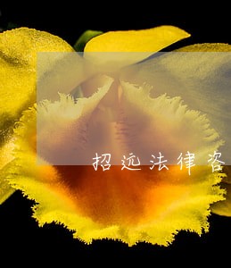 招远法律咨询 招远法律咨询