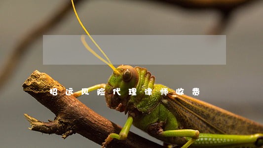 招远风险代理律师收费