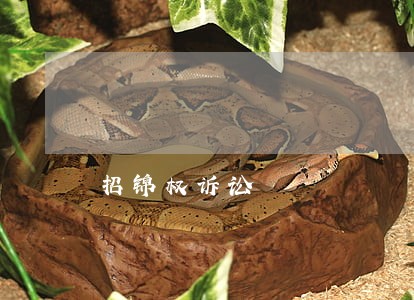 招锦权诉讼 招锦权诉讼
