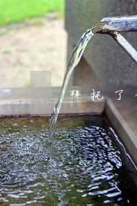拜托了律师沉重的亲情债务 拜托了律师沉重的亲情债务