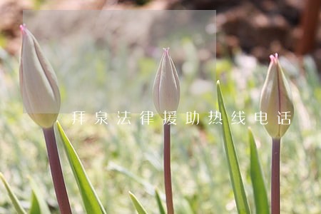 拜泉法律援助热线电话 拜泉法律援助热线电话