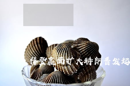 拜登赢面扩大特朗普发起诉讼 拜登赢面扩大特朗普发起诉讼