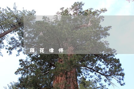 拜花律师 拜花律师