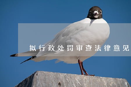 拟行政处罚审查法律意见书