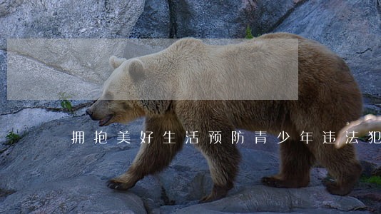 拥抱美好生活预防青少年违法犯罪