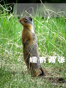 拥有两张身份证违法吗