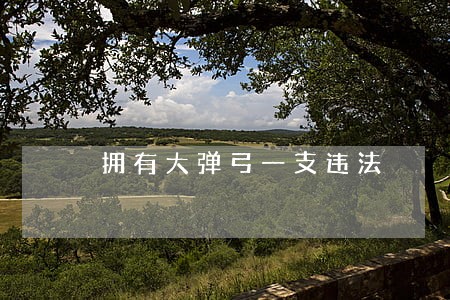 拥有大弹弓一支违法 拥有大弹弓一支违法