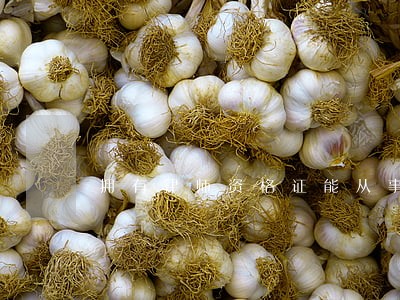 拥有律师资格证能从事什么工作 拥有律师资格证能从事什么工作
