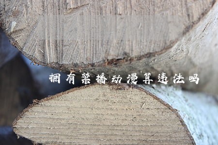 拥有禁播动漫算违法吗 拥有禁播动漫算违法吗
