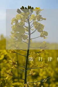 拨打律师法律咨询热线 拨打律师法律咨询热线