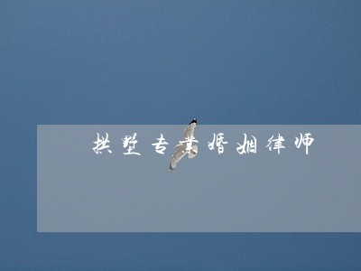 拱墅专业婚姻律师 拱墅专业婚姻律师
