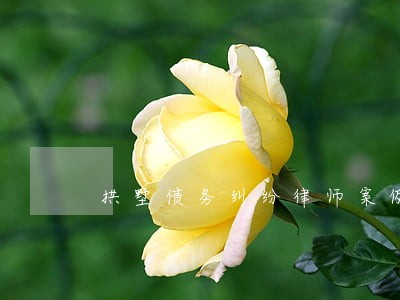 拱墅债务纠纷律师案例 拱墅债务纠纷律师案例