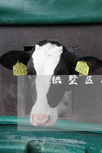 拱墅区二手房律师事务所 拱墅区二手房律师事务所